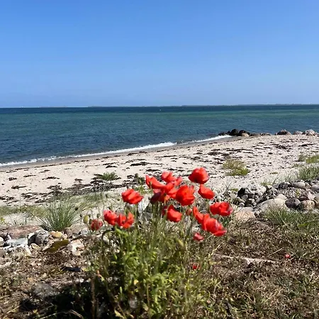 Luxury Retreat By Hasmark - By Traum * Otterup